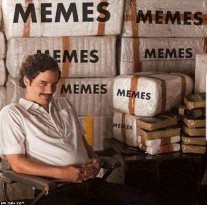 MEMES MEMES MEMES Everyone s A NAZI v24 Page 30 Sherdog 