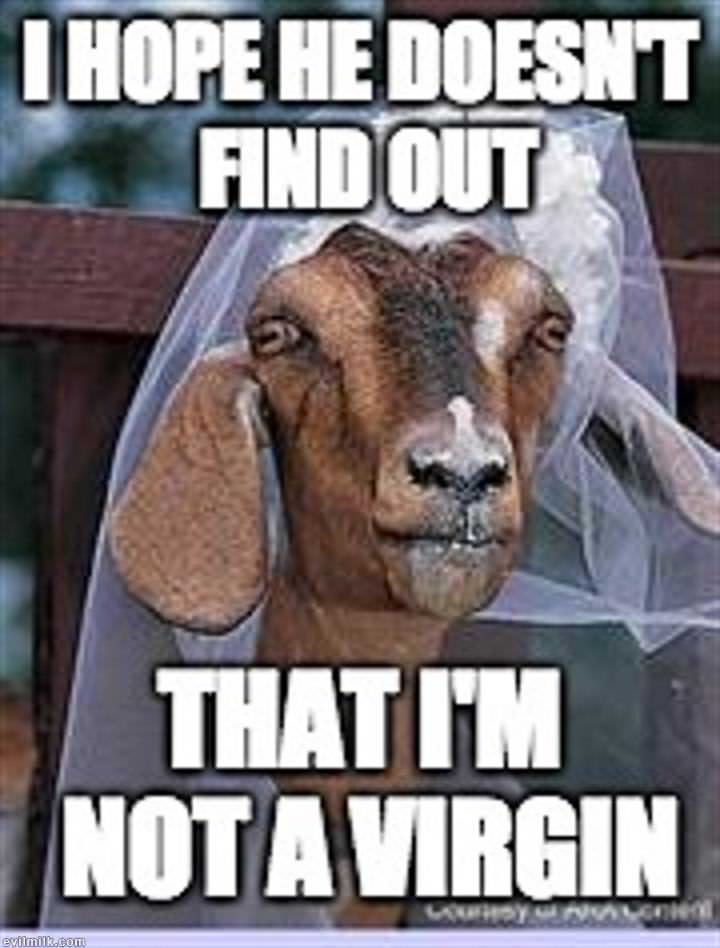 Isis Fucking Goats