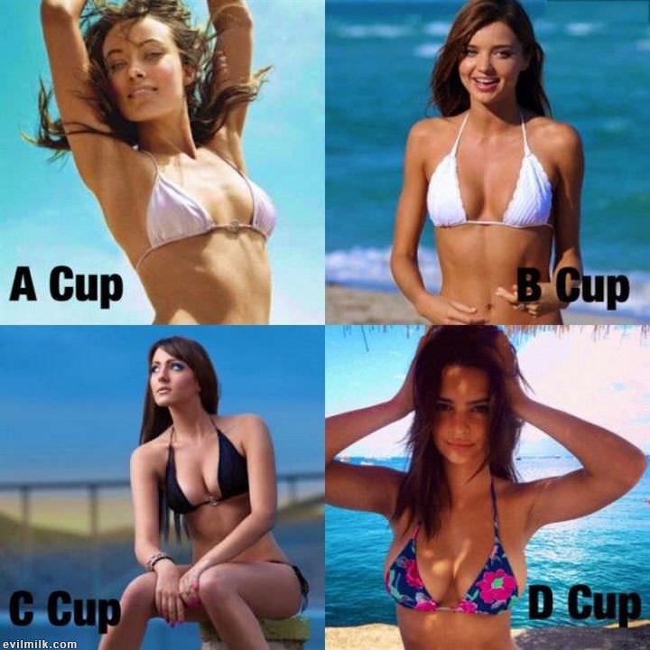 D Cup Teen