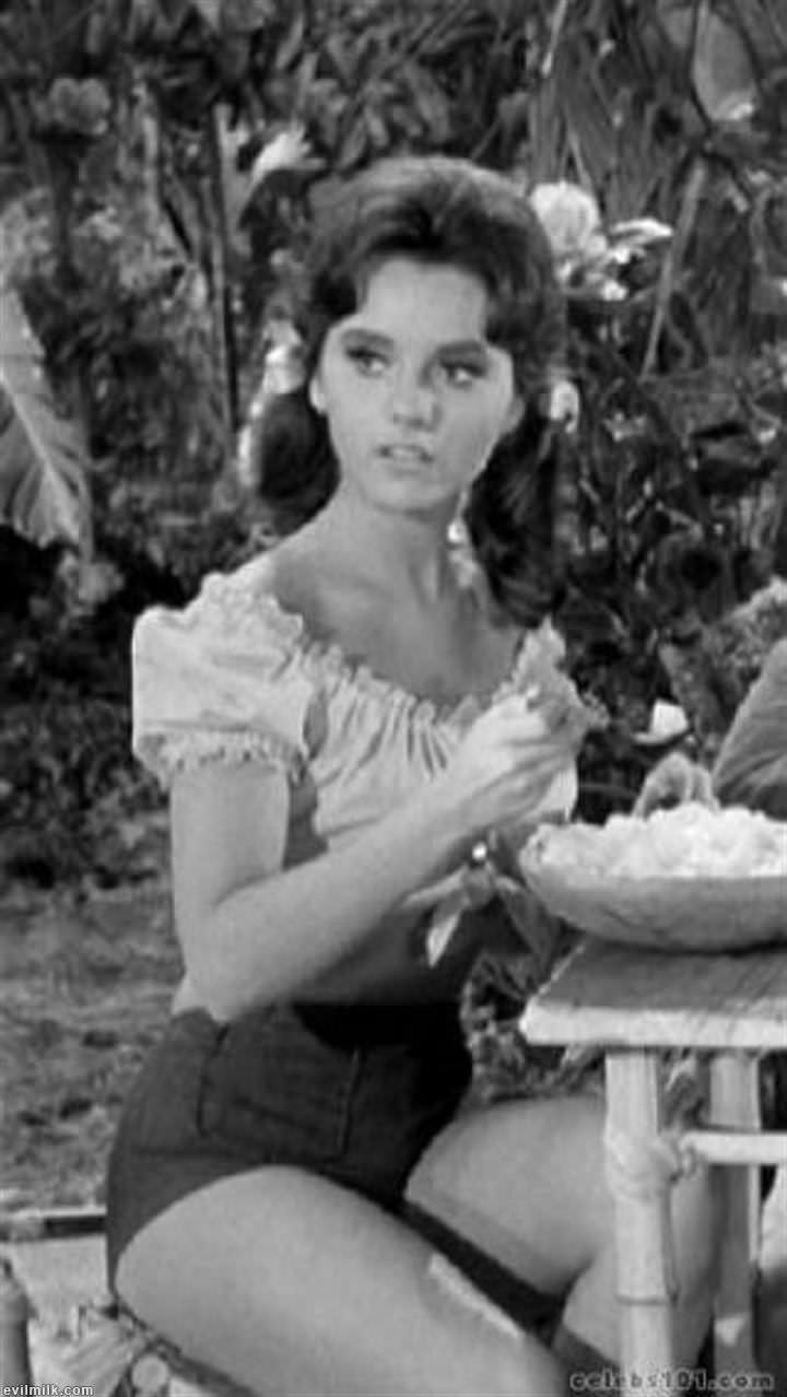 Dawn Wells Upskirt