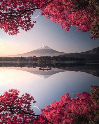 picture