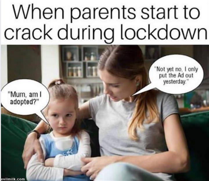14n-1kttum.jpg