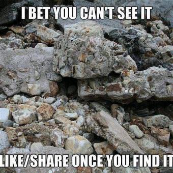 picture