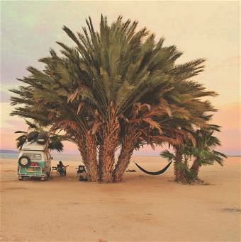 picture