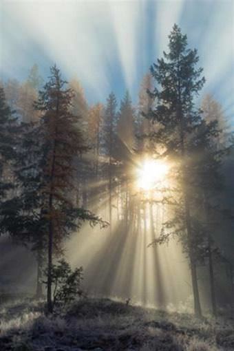 picture