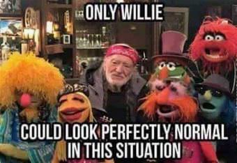 picture