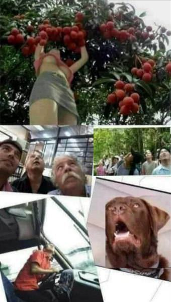 picture