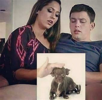 picture