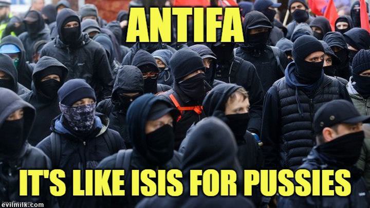 1aq-1kwzyj.jpg