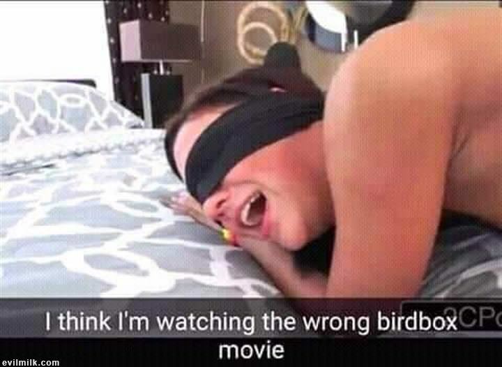 1aq-xqy7o.jpg