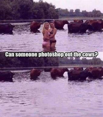 picture
