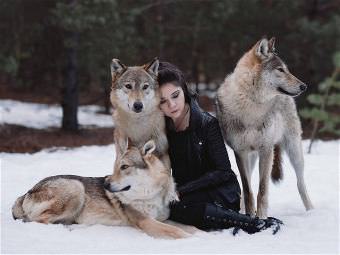 picture
