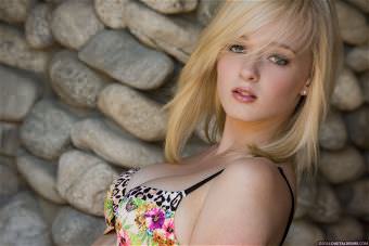picture