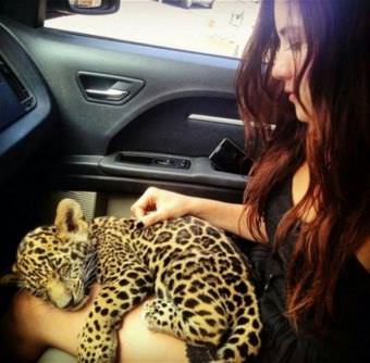 picture