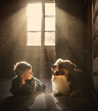 picture
