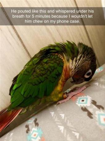 picture