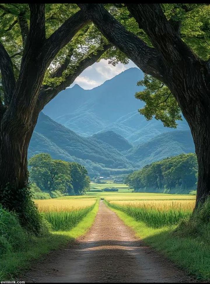 picture