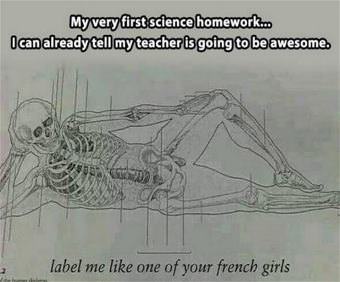 picture