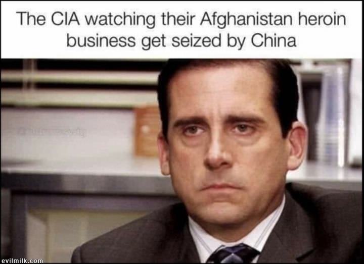 1zy-24dwvb.jpg