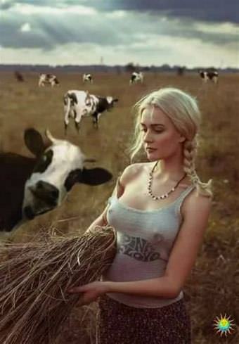 picture