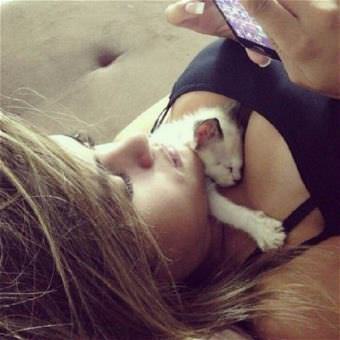 picture