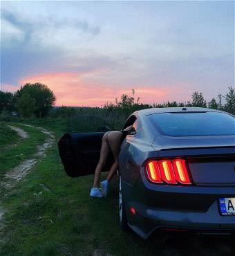 picture
