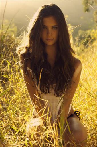 picture