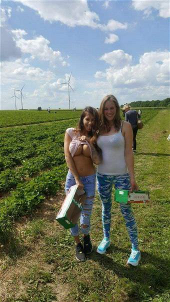 picture