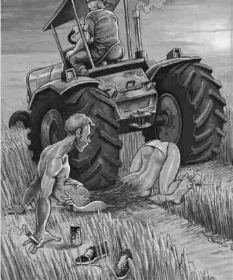 picture