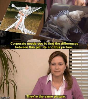 picture