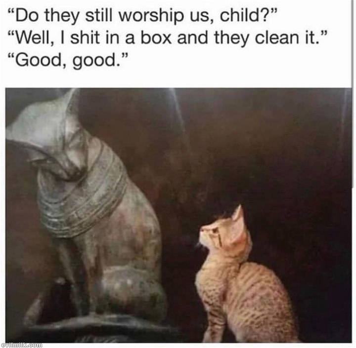 2kp-zxfyt.jpg