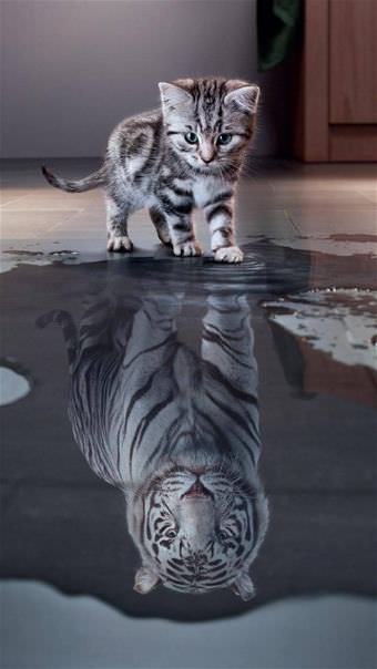 picture