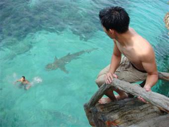 picture