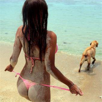 picture