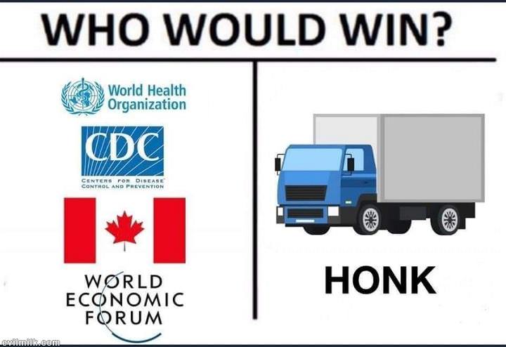 4j1-2bqnhz.jpg