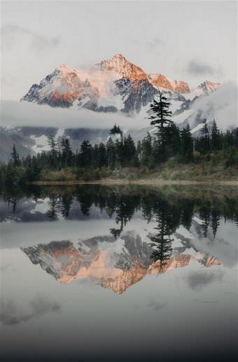 picture