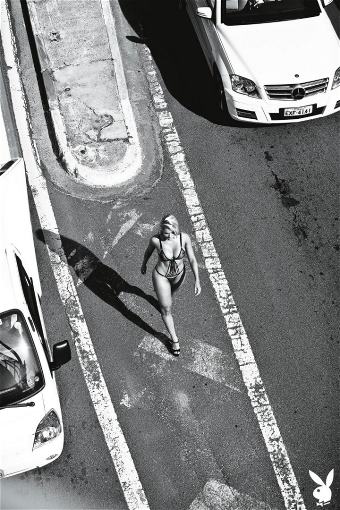 picture