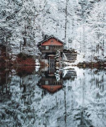 picture