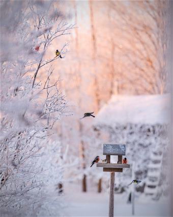 picture