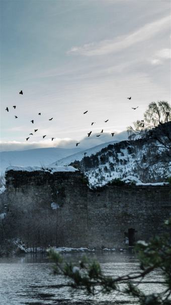 picture