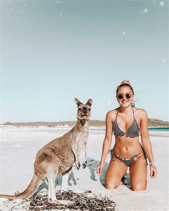 picture