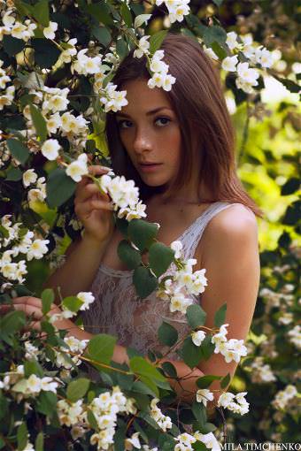picture