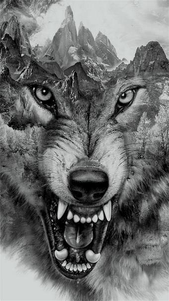 picture