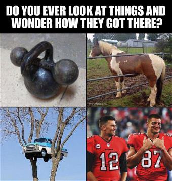 picture