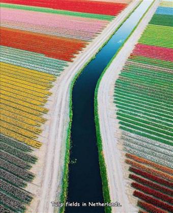 picture