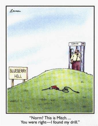 picture