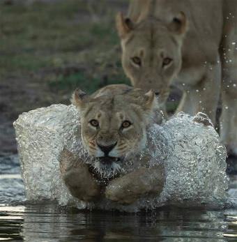 picture