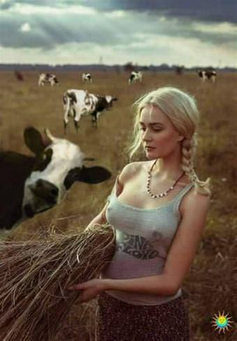 picture