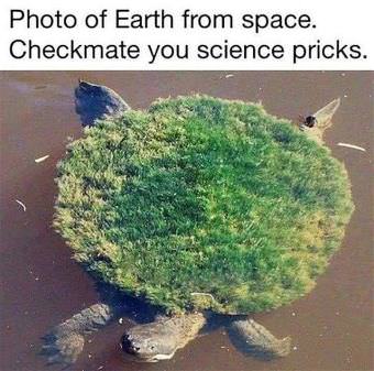 picture