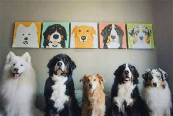 picture